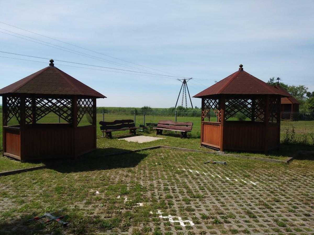 Leukozja Krynica Morska Zewnętrze zdjęcie