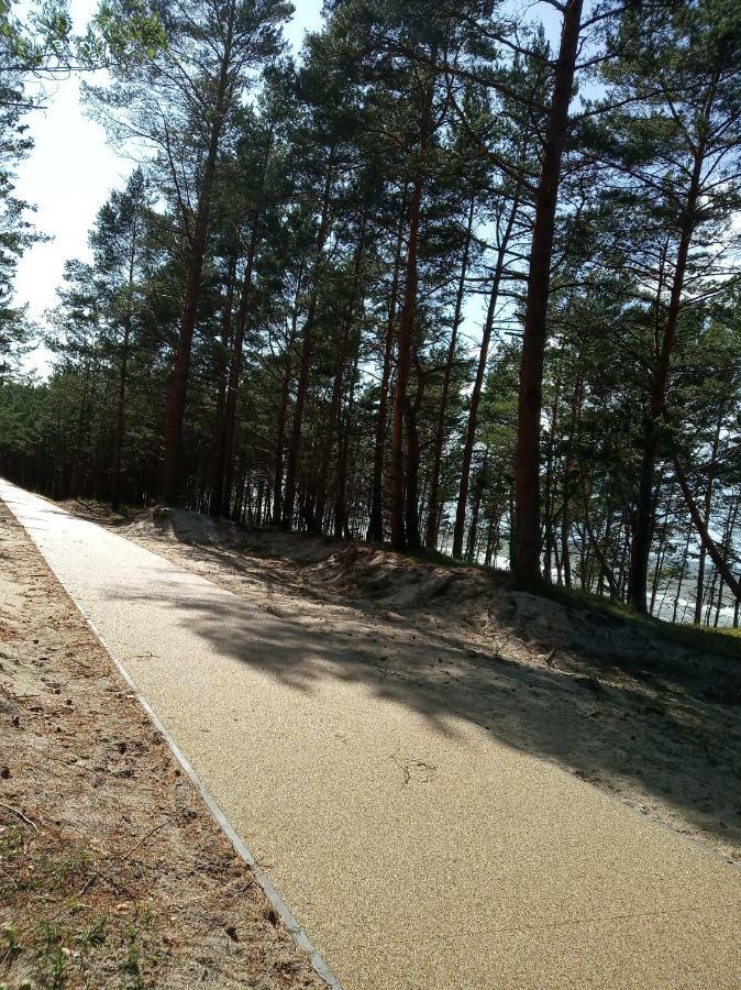Leukozja Krynica Morska Zewnętrze zdjęcie